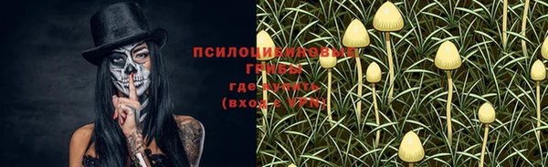 ешки Переславль-Залесский