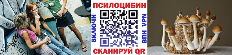 Купить где  Пенза  Псилоцибиновые грибы мухоморы 